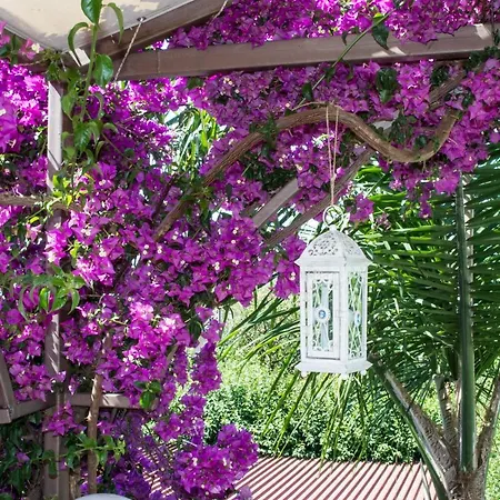 Bougainvillea Garden Retreat, Fully Equipped *
